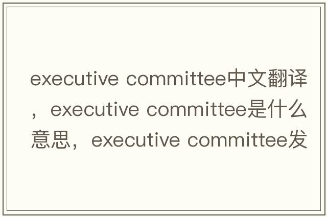 executive committee中文翻譯，executive committee是什么意思，executive committee發(fā)音、用法及例句