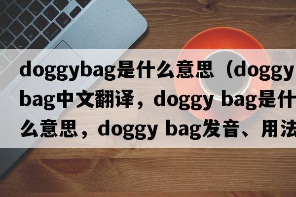 doggybag是什么意思（doggy bag中文翻譯，doggy bag是什么意思，doggy bag發(fā)音、用法及例句）