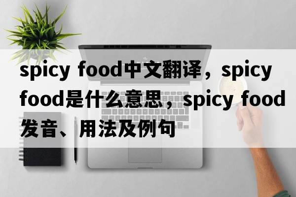 spicy food中文翻譯，spicy food是什么意思，spicy food發(fā)音、用法及例句