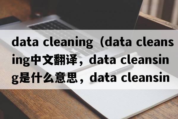 data cleaning（data cleansing中文翻譯，data cleansing是什么意思，data cleansing發(fā)音、用法及例句）