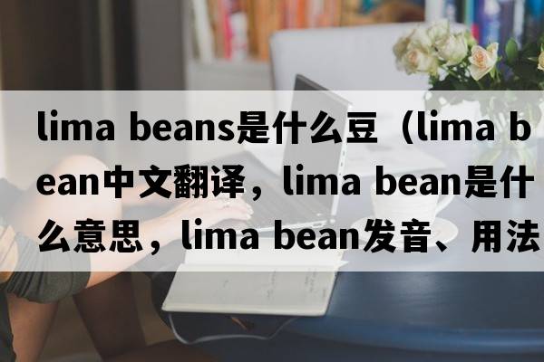 lima beans是什么豆（lima bean中文翻譯，lima bean是什么意思，lima bean發(fā)音、用法及例句）