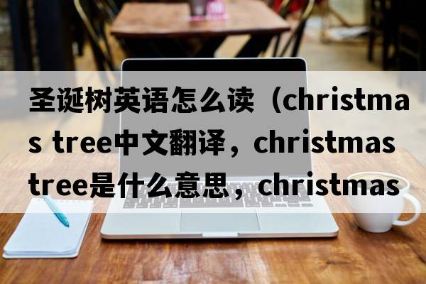 圣誕樹(shù)英語(yǔ)怎么讀（christmas tree中文翻譯，christmas tree是什么意思，christmas tree發(fā)音、用法及例句）