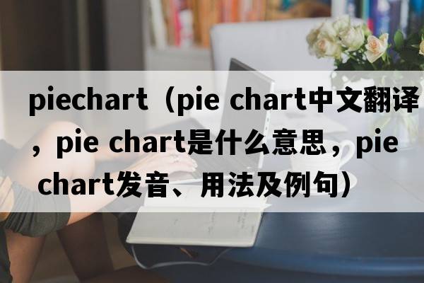 piechart（pie chart中文翻譯，pie chart是什么意思，pie chart發(fā)音、用法及例句）