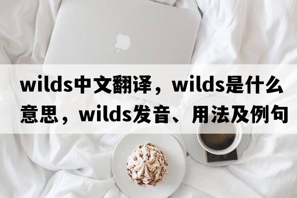 wilds中文翻譯，wilds是什么意思，wilds發(fā)音、用法及例句