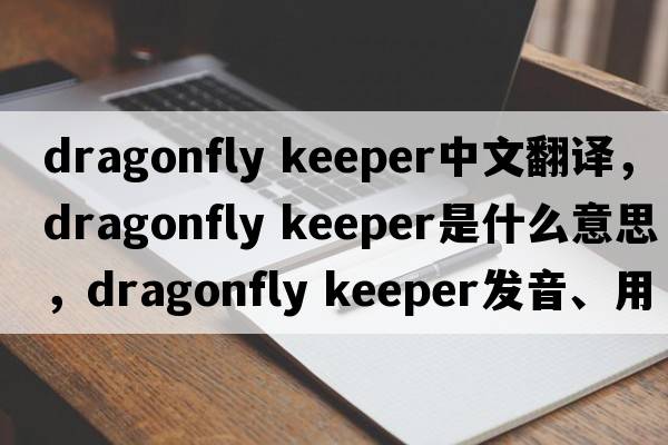 dragonfly keeper中文翻譯，dragonfly keeper是什么意思，dragonfly keeper發(fā)音、用法及例句