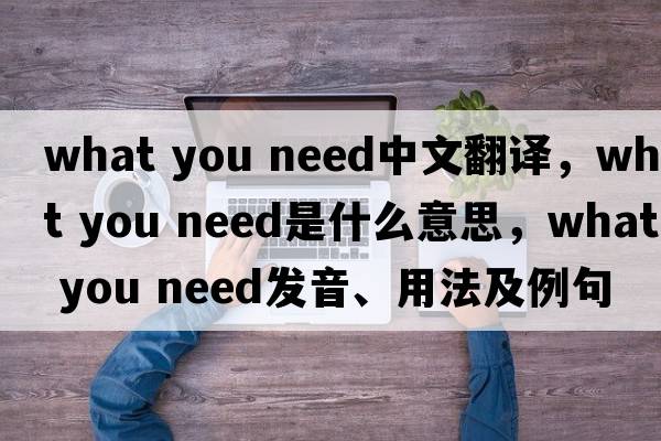 what you need中文翻譯，what you need是什么意思，what you need發(fā)音、用法及例句