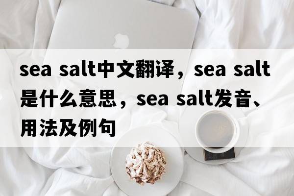 sea salt中文翻譯，sea salt是什么意思，sea salt發(fā)音、用法及例句
