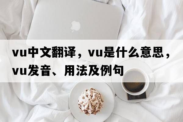 vu中文翻譯，vu是什么意思，vu發(fā)音、用法及例句