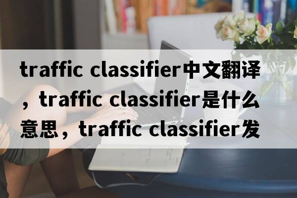 traffic classifier中文翻譯，traffic classifier是什么意思，traffic classifier發(fā)音、用法及例句
