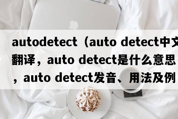 autodetect（auto detect中文翻譯，auto detect是什么意思，auto detect發(fā)音、用法及例句）
