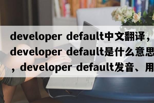 developer default中文翻譯，developer default是什么意思，developer default發(fā)音、用法及例句