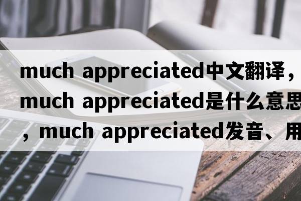 much appreciated中文翻譯，much appreciated是什么意思，much appreciated發(fā)音、用法及例句