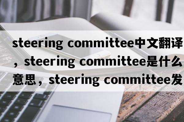 steering committee中文翻譯，steering committee是什么意思，steering committee發(fā)音、用法及例句