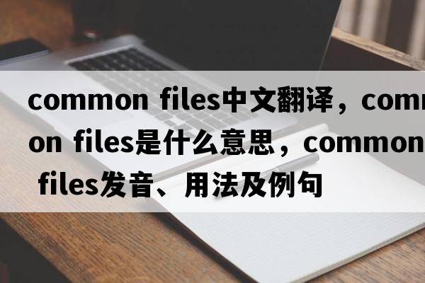 common files中文翻譯，common files是什么意思，common files發(fā)音、用法及例句
