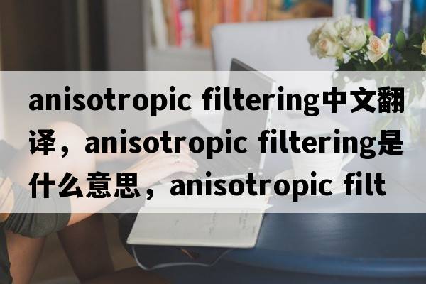 anisotropic filtering中文翻譯，anisotropic filtering是什么意思，anisotropic filtering發(fā)音、用法及例句