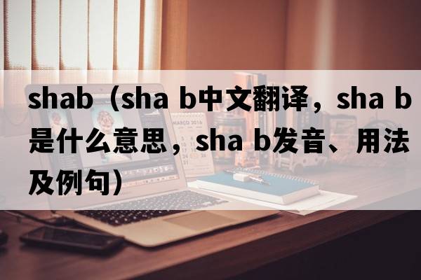 shab（sha b中文翻譯，sha b是什么意思，sha b發(fā)音、用法及例句）