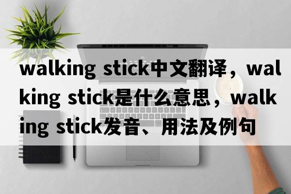 walking stick中文翻譯，walking stick是什么意思，walking stick發(fā)音、用法及例句