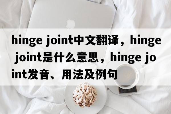 hinge joint中文翻譯，hinge joint是什么意思，hinge joint發(fā)音、用法及例句