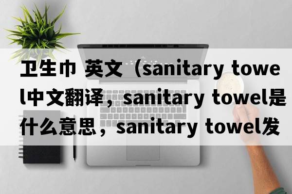 衛生巾 英文（sanitary towel中文翻譯，sanitary towel是什么意思，sanitary towel發(fā)音、用法及例句）