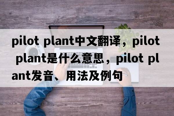 pilot plant中文翻譯，pilot plant是什么意思，pilot plant發(fā)音、用法及例句