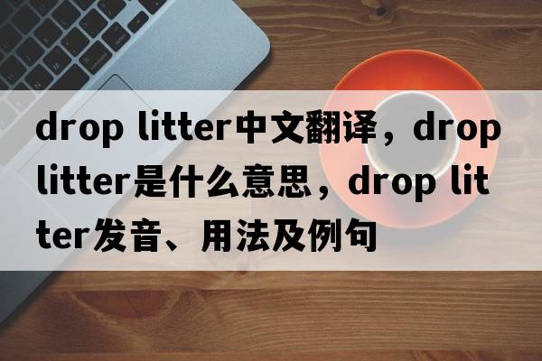 drop litter中文翻譯，drop litter是什么意思，drop litter發(fā)音、用法及例句