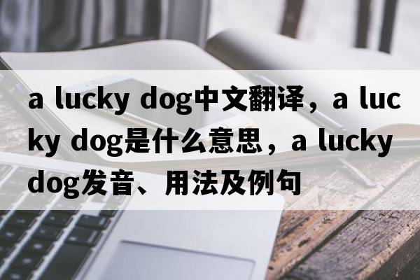 a lucky dog中文翻譯，a lucky dog是什么意思，a lucky dog發(fā)音、用法及例句