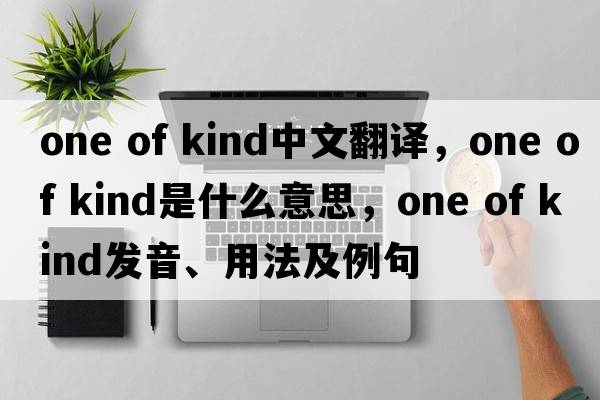 one of kind中文翻譯，one of kind是什么意思，one of kind發(fā)音、用法及例句