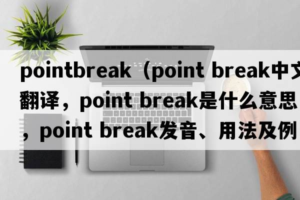 pointbreak（point break中文翻譯，point break是什么意思，point break發(fā)音、用法及例句）