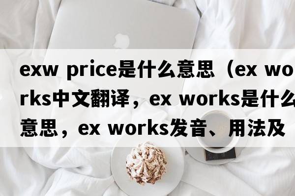 exw price是什么意思（ex works中文翻譯，ex works是什么意思，ex works發(fā)音、用法及例句）