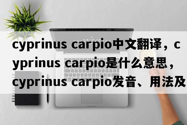 cyprinus carpio中文翻譯，cyprinus carpio是什么意思，cyprinus carpio發(fā)音、用法及例句