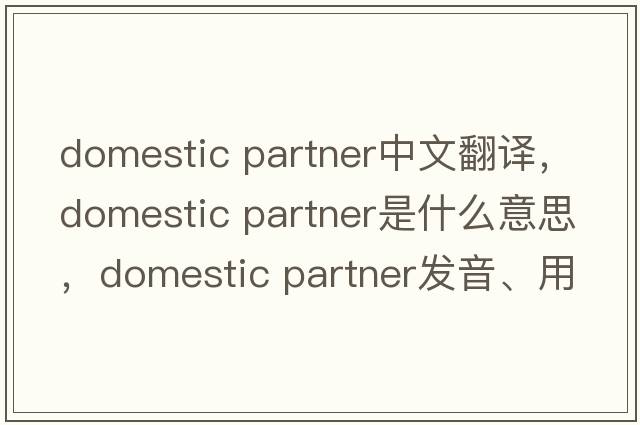 domestic partner中文翻譯，domestic partner是什么意思，domestic partner發(fā)音、用法及例句