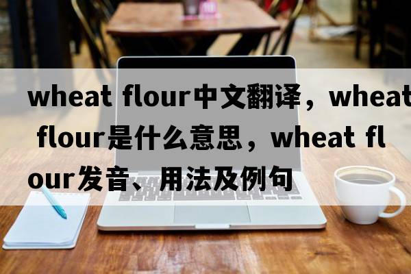 wheat flour中文翻譯，wheat flour是什么意思，wheat flour發(fā)音、用法及例句