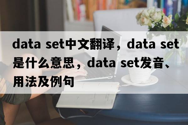 data set中文翻譯，data set是什么意思，data set發(fā)音、用法及例句
