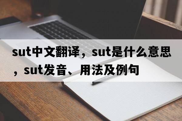SUT中文翻譯，SUT是什么意思，SUT發(fā)音、用法及例句