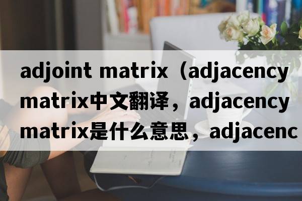 adjoint matrix（adjacency matrix中文翻譯，adjacency matrix是什么意思，adjacency matrix發(fā)音、用法及例句）