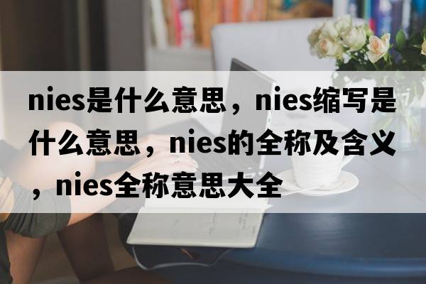 nies是什么意思，nies縮寫(xiě)是什么意思，nies的全稱(chēng)及含義，nies全稱(chēng)意思大全