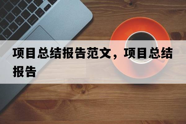 項目總結報告范文，項目總結報告