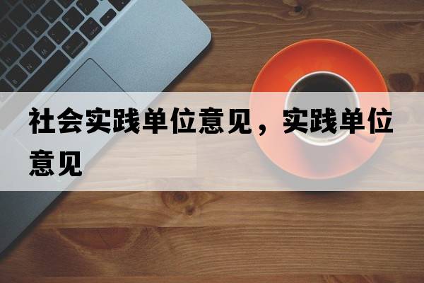 社會(huì )實(shí)踐單位意見(jiàn)，實(shí)踐單位意見(jiàn)