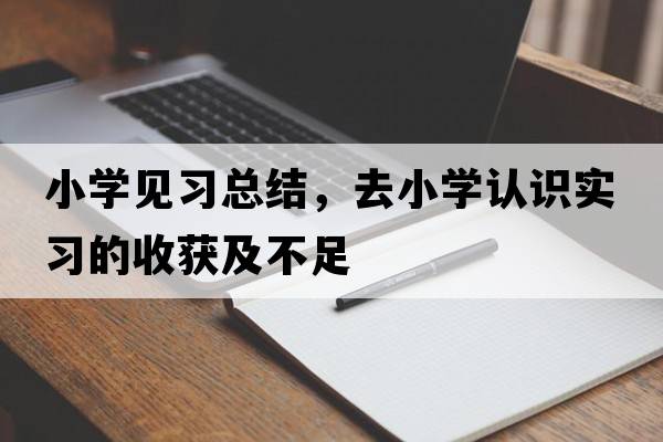 小學(xué)見(jiàn)習總結，去小學(xué)認識實(shí)習的收獲及不足