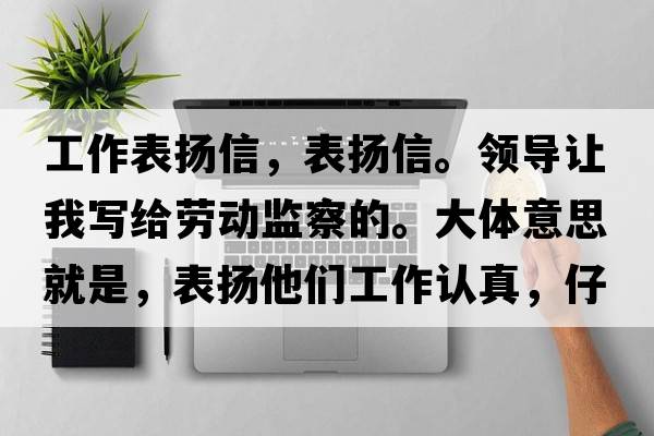 工作表?yè)P信，表?yè)P信。領(lǐng)導讓我寫(xiě)給勞動(dòng)監察的。大體意思就是，表?yè)P他們工作認真，仔細。政府領(lǐng)導好