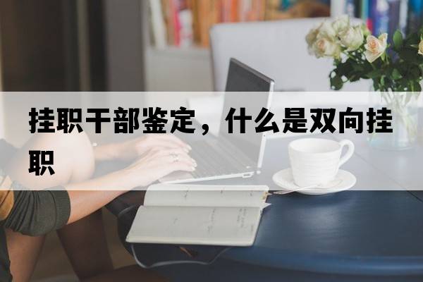 掛職干部鑒定，什么是雙向掛職
