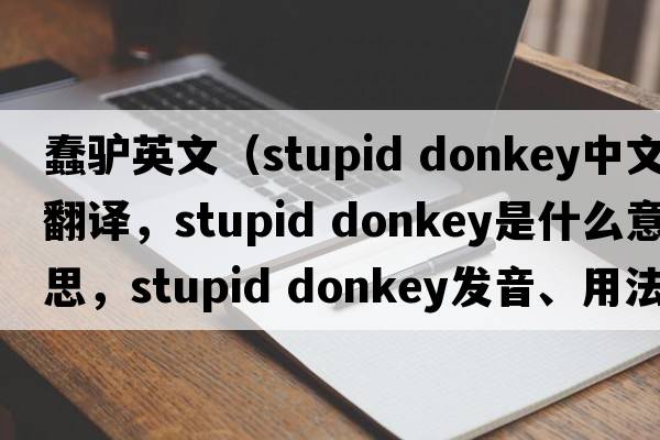 蠢驢英文（stupid donkey中文翻譯，stupid donkey是什么意思，stupid donkey發(fā)音、用法及例句）