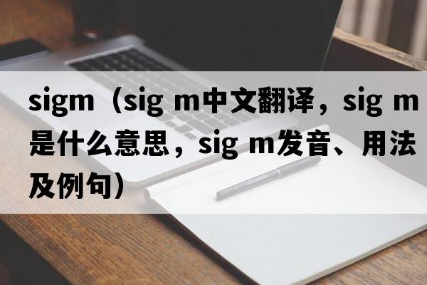sigm（sig m中文翻譯，sig m是什么意思，sig m發(fā)音、用法及例句）