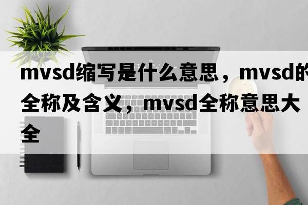 mvsd縮寫(xiě)是什么意思，mvsd的全稱(chēng)及含義，mvsd全稱(chēng)意思大全