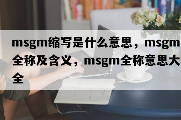 msgm縮寫(xiě)是什么意思，msgm的全稱(chēng)及含義，msgm全稱(chēng)意思大全