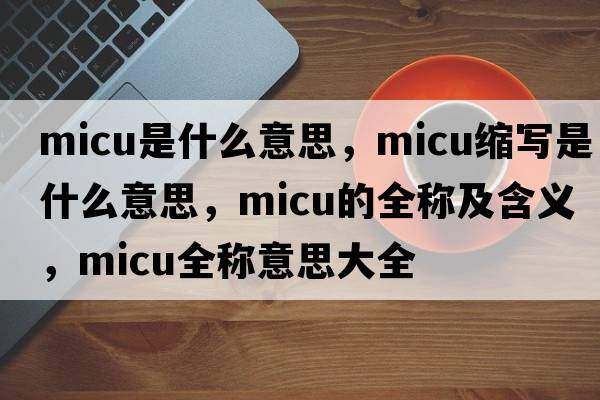 micu是什么意思，micu縮寫(xiě)是什么意思，micu的全稱(chēng)及含義，micu全稱(chēng)意思大全