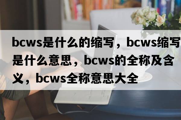 bcws是什么的縮寫(xiě)，bcws縮寫(xiě)是什么意思，bcws的全稱(chēng)及含義，bcws全稱(chēng)意思大全