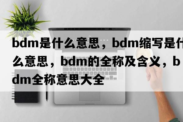 bdm是什么意思，bdm縮寫(xiě)是什么意思，bdm的全稱(chēng)及含義，bdm全稱(chēng)意思大全