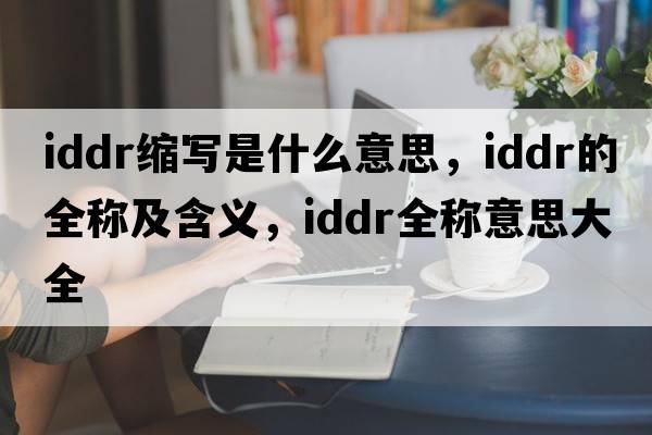 iddr縮寫(xiě)是什么意思，iddr的全稱(chēng)及含義，iddr全稱(chēng)意思大全
