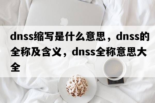 dnss縮寫(xiě)是什么意思，dnss的全稱(chēng)及含義，dnss全稱(chēng)意思大全